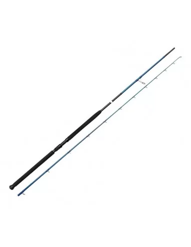 Savage Gear SGS2 Shore Jigging 10'/3.05m 60-150 gr 2 Parça