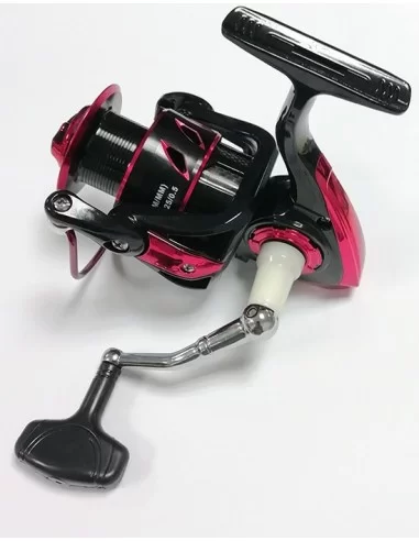 BLACK SPIDER R. Boy: 6000