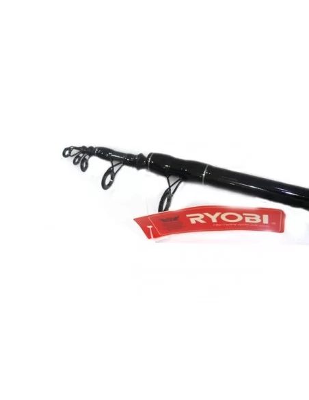 RYOBI FLASH BOAT 1.65 MT