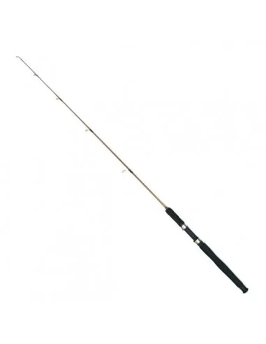 Silverstar Mustang 5-10 LB 2 Parça Dolgu Kamış 170 cm